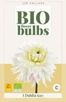 BIO Dahlia Kiev - thumbnail