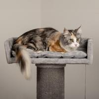 dobar Premium krabpaal (grijs, Cozy) - thumbnail