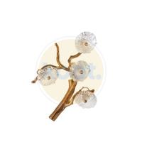 Serip - Nymphaea Small wandlamp - thumbnail