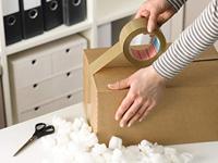 tesa 58173-00000-01 Plakband tesapack Bruin (l x b) 66 m x 50 mm 1 stuk(s) - thumbnail