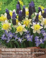 Prins garden collectie 50 bollen - thumbnail