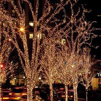 Showtec LED Rubber Twinkle Light WW 200 warmwitte LEDs 20m - thumbnail