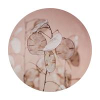 Muurcirkel mdf Ø58x2.5cm dollar blad - thumbnail