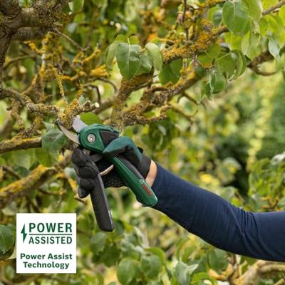 Bosch Home and Garden 06008B2102 EasyPrune Tuinschaar 250 mm Bypass