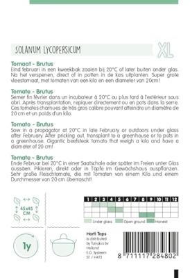 Zaden Tomaat Brutus Hortitops - Hortitops