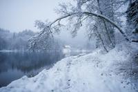 Samyang AF 12mm F/2.0 Canon RF-S - thumbnail