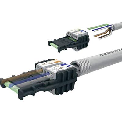 Telegärtner 100023042 RJ45-connector recht, monteerbaar op locatie 100023042 Stekker, recht 10 stuk(s) Telegärtner 100023042 RJ45-connector recht, monteerbaar op locatie 100023042 Stekker, recht 10 stuk(s)