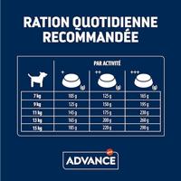 ADVANCE ADULT FRENCH BULLDOG - thumbnail