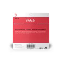 D&apos;Addario J810 1/16M Prelude String Set, 1/16 Scale, Medium Tension Vioolsnarenset - thumbnail