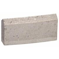 Bosch Accessories 2608601400 2608601400 Segmenten voor diamantboorkronen 276 mm 1 stuk(s) - thumbnail