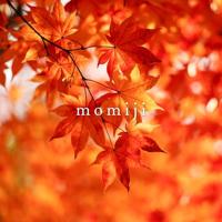Inktpot Pilot Iroshizuku Momiji Autumn Leaves 50 ml - thumbnail