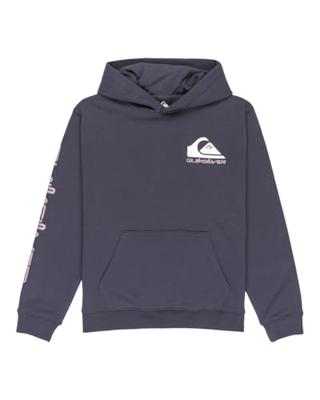 Quicksilver Omni Logo Hoodie Junior
