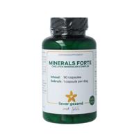Liever Gezond Minerals chelaten mineralen complex 90 Vegetarische capsules - thumbnail