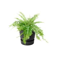 Elho greenville easy hanger single living black - thumbnail