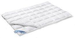 Vandyck donzen dekbed 65 duo