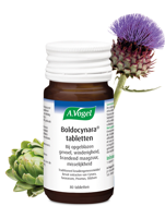 A Vogel Boldocynara 80 Tabletten - thumbnail
