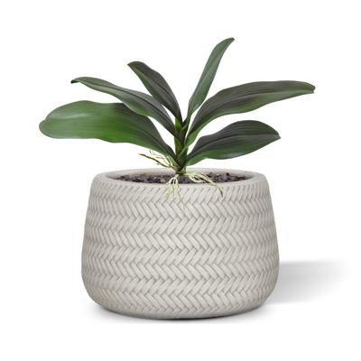 Phalaenopsis blad kunstplant 25cm