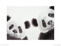 Twee Reuzenpanda's Art Print Aimee Del Valle 30x40cm - thumbnail