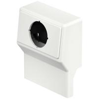 OBO Bettermann SL GTleer2050 rw Apparaatdrager voor Accessoires voor elektroplintsysteem Zuiver wit 1 stuk(s) - thumbnail