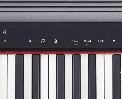 Roland GO-61P GO:PIANO digitale piano, 61 toetsen
