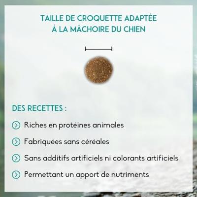 Nutrivet Inne Dog Nutritive & Health hondenvoer 12 kg - thumbnail