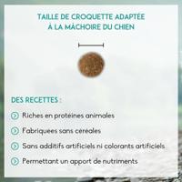 Nutrivet Inne Dog Nutritive & Health hondenvoer 2 x 12 kg - thumbnail