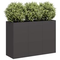 VidaXL Plantenbak 120x40x80 cm koudgewalst staal zwart - thumbnail