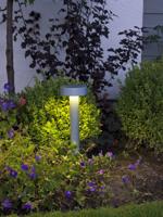 Pesaro LED paaltje geborsteld alu 50cm 7910-310 - thumbnail