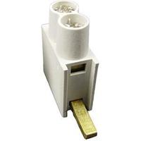 SEP Voedingsklem DTH dubbel 2x10mm laag wit SEP - 4000430 - thumbnail