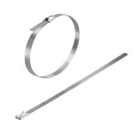 Weidmüller 2791380000 SCT 4.6/125 Kabelbinder 100 stuk(s) - thumbnail