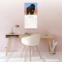 Newfoundlander Kalender 2026 - thumbnail