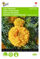 Tagetes, lage Afrikaan Golden Age - thumbnail