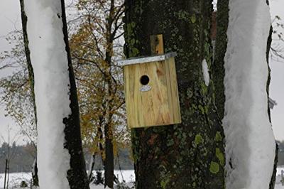 Spiegelnestkast Best for Birds - Best for birds - thumbnail
