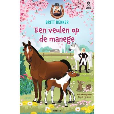 Boek Een Veulen op de Manege Boek Een Veulen op de Manege