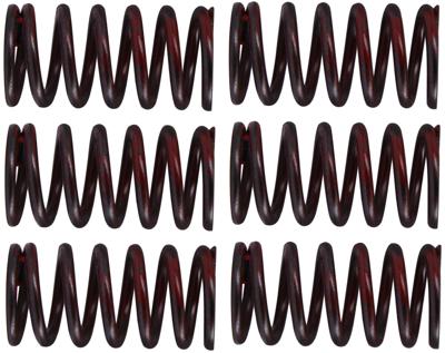 TRW koppelingsveren set clutch spring kit mef320-6
