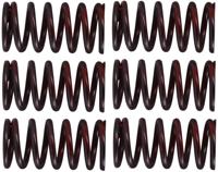 TRW koppelingsveren set clutch spring kit mef320-6 - thumbnail