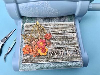 Sizzix • tim holtz thinlits die set skeleton leaves 5pcs