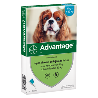 Advantage Hond 100 Advantage Hond 100
