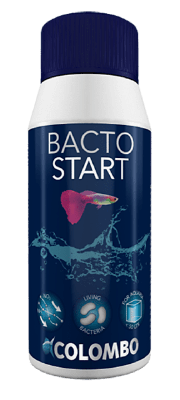 Bacto Start 100 Ml aquaria Colombo - Colombo