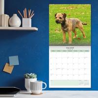 Border Terrier Kalender 2026 - thumbnail