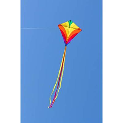 HQ Eenlijns Vlieger Eddy Rainbow Spanwijdte 680 mm Geschikt voor windsterkte 2 - 5 bft - thumbnail