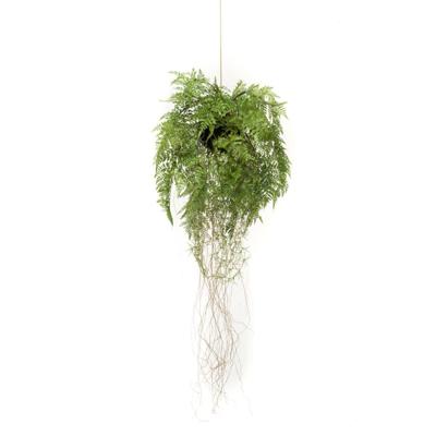 Kunst Hangplant Varen met Luchtwortels 70cm