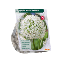 Sierlook - thumbnail