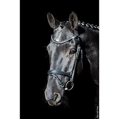 Schockemohle Sports Rome Select hoofdstel zwart maat:cob