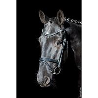 Schockemohle Sports Rome Select hoofdstel zwart maat:cob - thumbnail