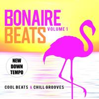 Bonaire Beats Volume 1 - CD (8718403115741) - thumbnail