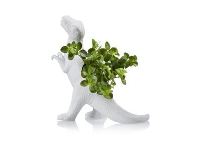 Dinosaurus Bloempot - T-Rex