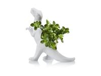 Dinosaurus Bloempot - T-Rex - thumbnail