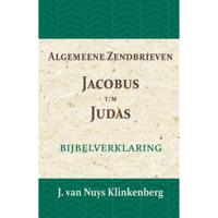 Algemeene Zendbrieven Jacobus t/m Judas (Paperback) - thumbnail