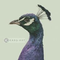 Schilderij - Pauw , Blauw groen , 3 maten , Wanddecoratie - thumbnail